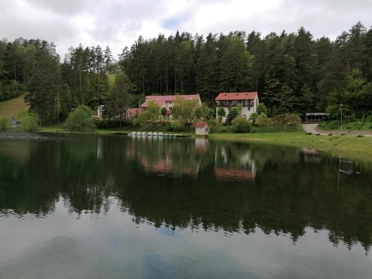 Sveciu Namai Aldaivita Ignalina Eksteriør billede