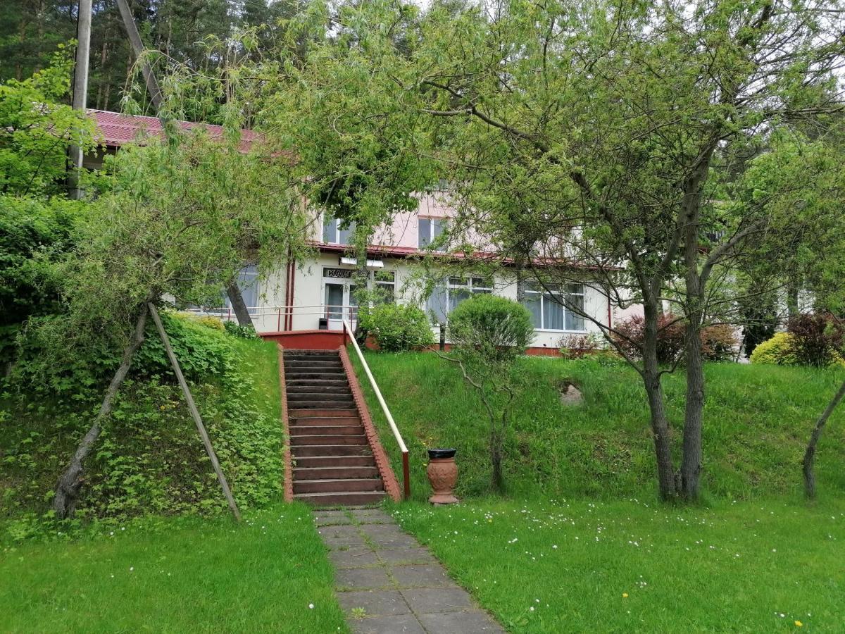 Sveciu Namai Aldaivita Ignalina Eksteriør billede